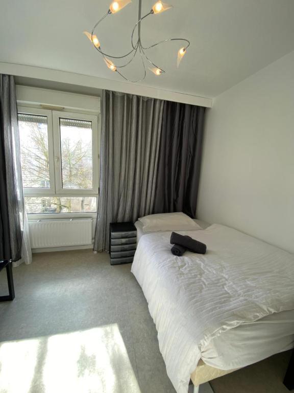 Nancy Hyper Centre, Chambre Prive Chez L'Habitant En Colocation エクステリア 写真