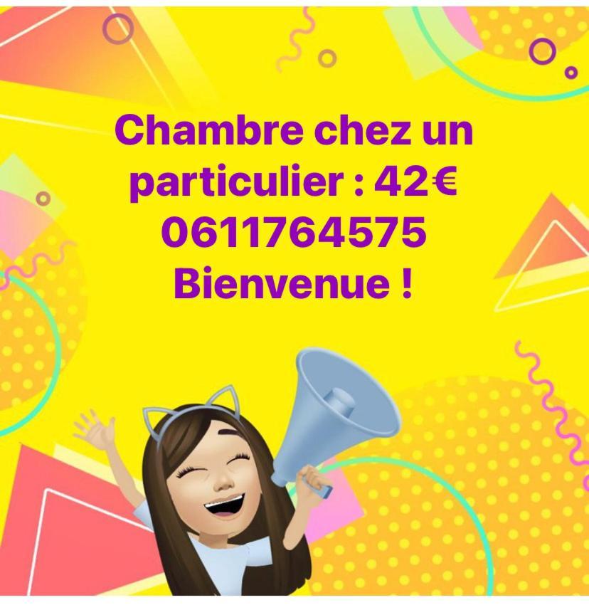 Nancy Hyper Centre, Chambre Prive Chez L'Habitant En Colocation エクステリア 写真