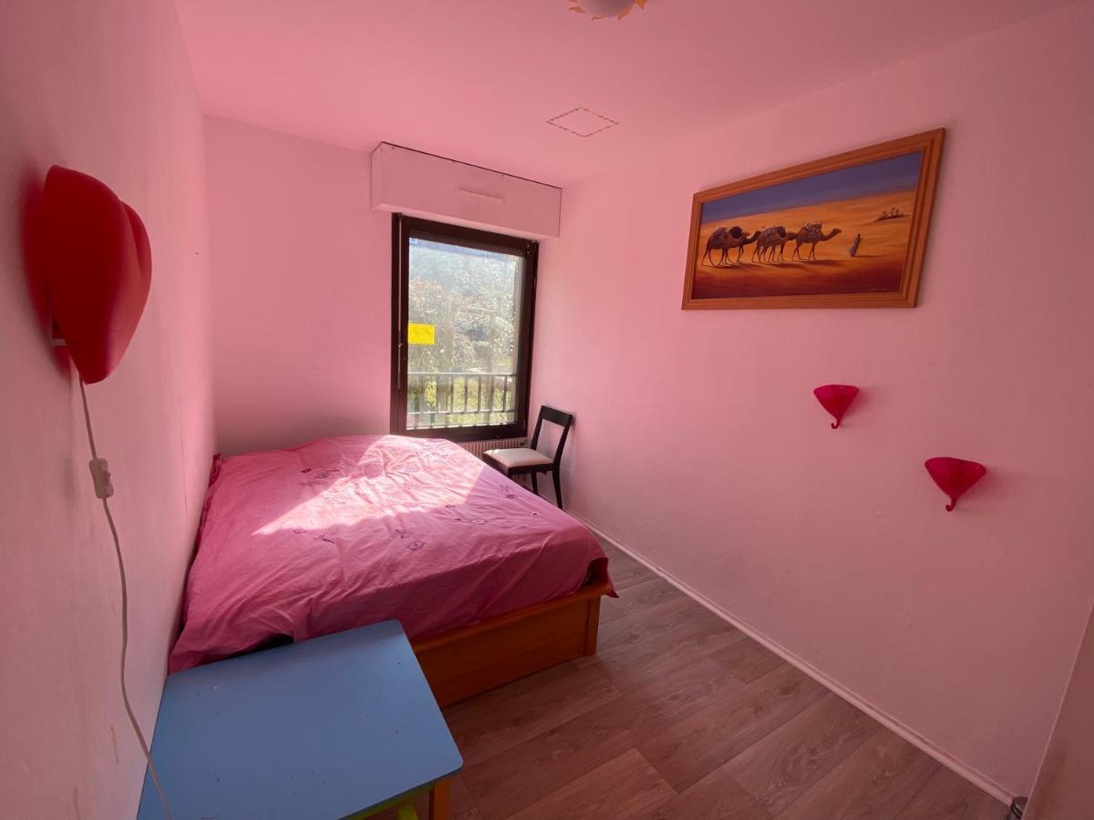 Nancy Hyper Centre, Chambre Prive Chez L'Habitant En Colocation エクステリア 写真