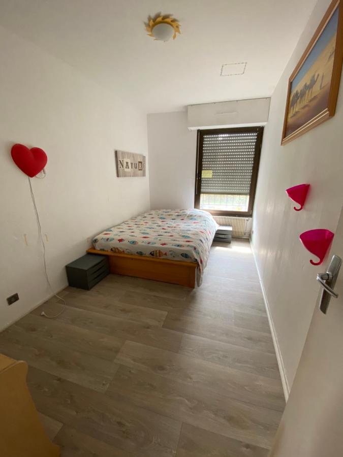 Nancy Hyper Centre, Chambre Prive Chez L'Habitant En Colocation エクステリア 写真