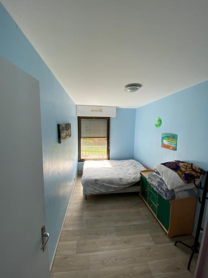 Nancy Hyper Centre, Chambre Prive Chez L'Habitant En Colocation エクステリア 写真